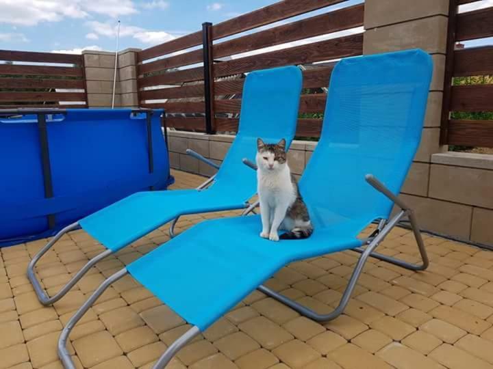Apartamenty Maja Tylicz Εξωτερικό φωτογραφία